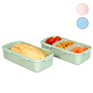 Set van 2 kleine lunchboxen 470 ml